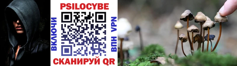 Галлюциногенные грибы мицелий Купить где Гусев